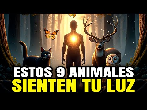 SI ESTOS ANIMALES SE ACERCAN A TI… ES PORQUE TU ALMA HA SIDO MARCADA POR LO DIVINO!