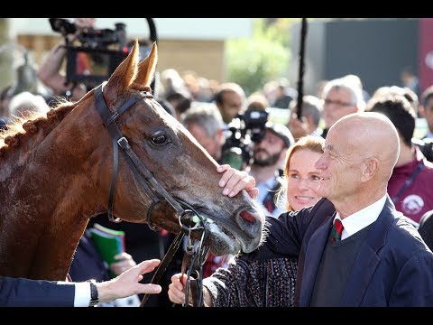 Prix de l’Arc de Triomphe 2019 - Sieger Waldgeist - Quelle: France Galop