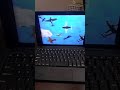 Sesame Street Airplane Letter Y