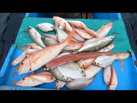 Jackpot! Handline Fishing of Melenrick Vlog