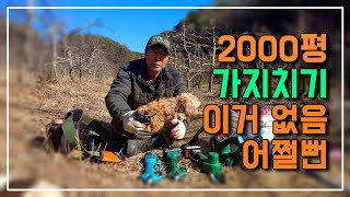 가지치기_전지할때 이거 없었으면 손가락 쥐나요 역시 농사도 장비가 있어야죠