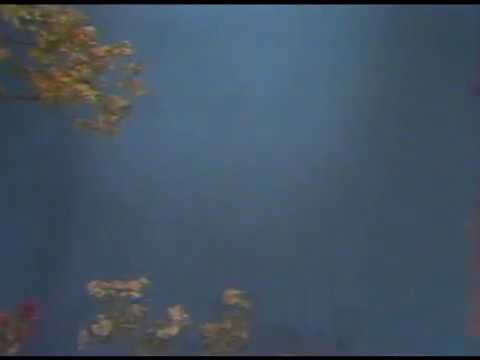 Poshalak, Topalak - dayzany getir (degishmeler toplumy)