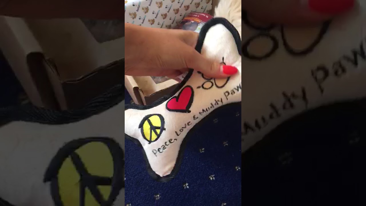 BusterBox Customer Reaction