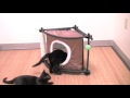 Видео о товаре Игровой комплекс с когтеточкой для кошек: Сонное царство. Sleepy Corner/ Kitty City (США)