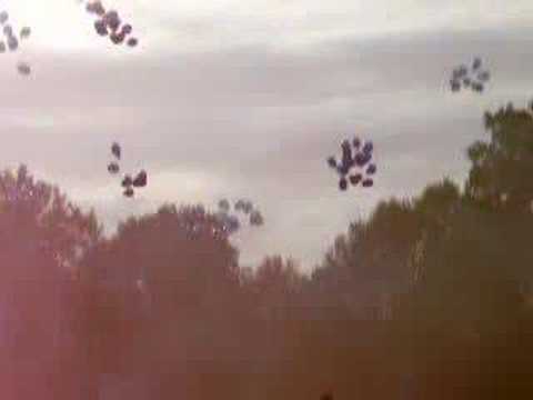 SP Neede 1 - FC Eibergen 1 (Als waterratten in de val)