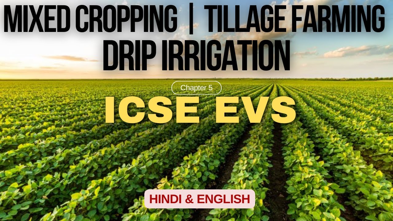 Chapter 5 - Food (Part 3) Hindi/English  | Easy explanation | ICSE |  Environmental Science