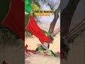 MR AS Reaction Khtola2 Shorts Vayralshorts Ytshorts