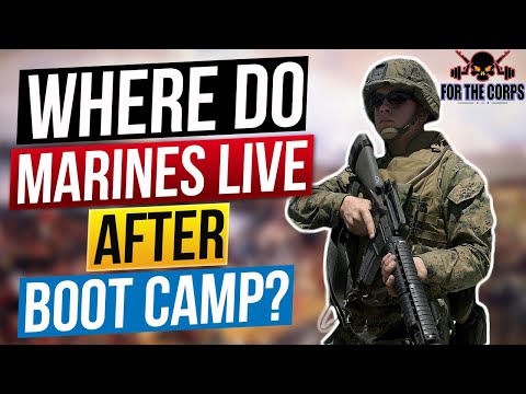 YouTube video about Explore Further: Your Next Step After Bootcamp
