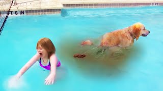 dog couldn&#39;t hold his poop any longer..