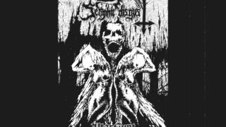 Seraphic Disgust - AltarCunt (Reviu)