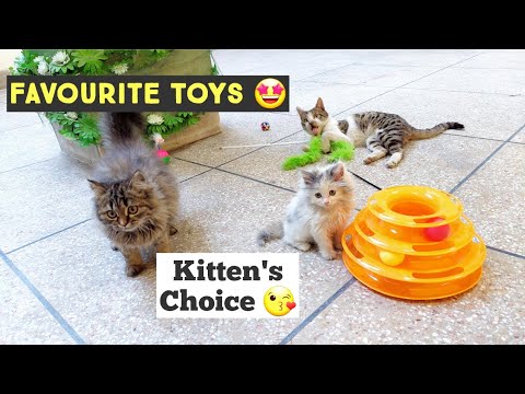 Kitten's Favourite toys  😍 | Best Toys for Cats & Kittens | Best Cat toys in Pet Shop