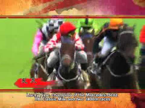 Queen's Silver Jubilee Cup 2011   HK G1 Race Series 2011   The Hong Kong Jockey Club