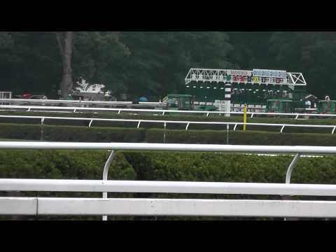 Turbulent Descent Wins the 2011 Test Stakes