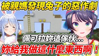 [Vtub] 大空昴被傳鴿子信息