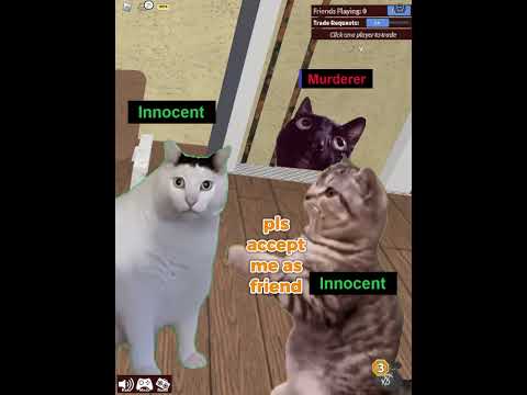 MURDER CAT IN MM2 #memes #roblox #meme #bloxfruits #murdermystery2 #catmemes #cat #r63 #survive