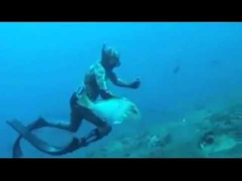 海底 潛水 打魚 被搶去 !!!