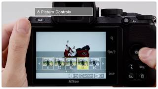 YouTube Video jyG6ZxPMhr8 for Product Nikon Z 50 APS-C Mirrorless Camera by Company Nikon in Industry Cameras