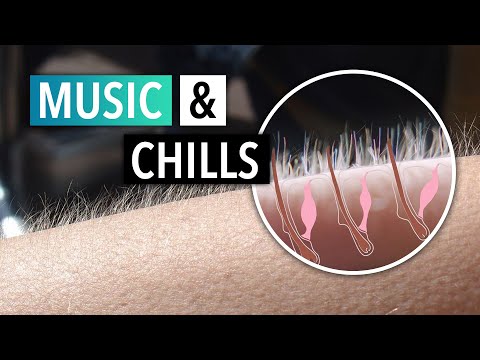 Why Does Music Give You Chills? The Neuroscience of Sound
