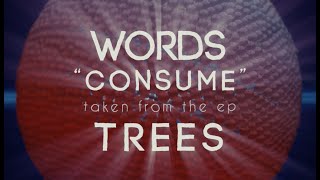 Words - Consume (Official Lyric Video) ft. Bradley Hathaway &amp; Jason Hobbs
