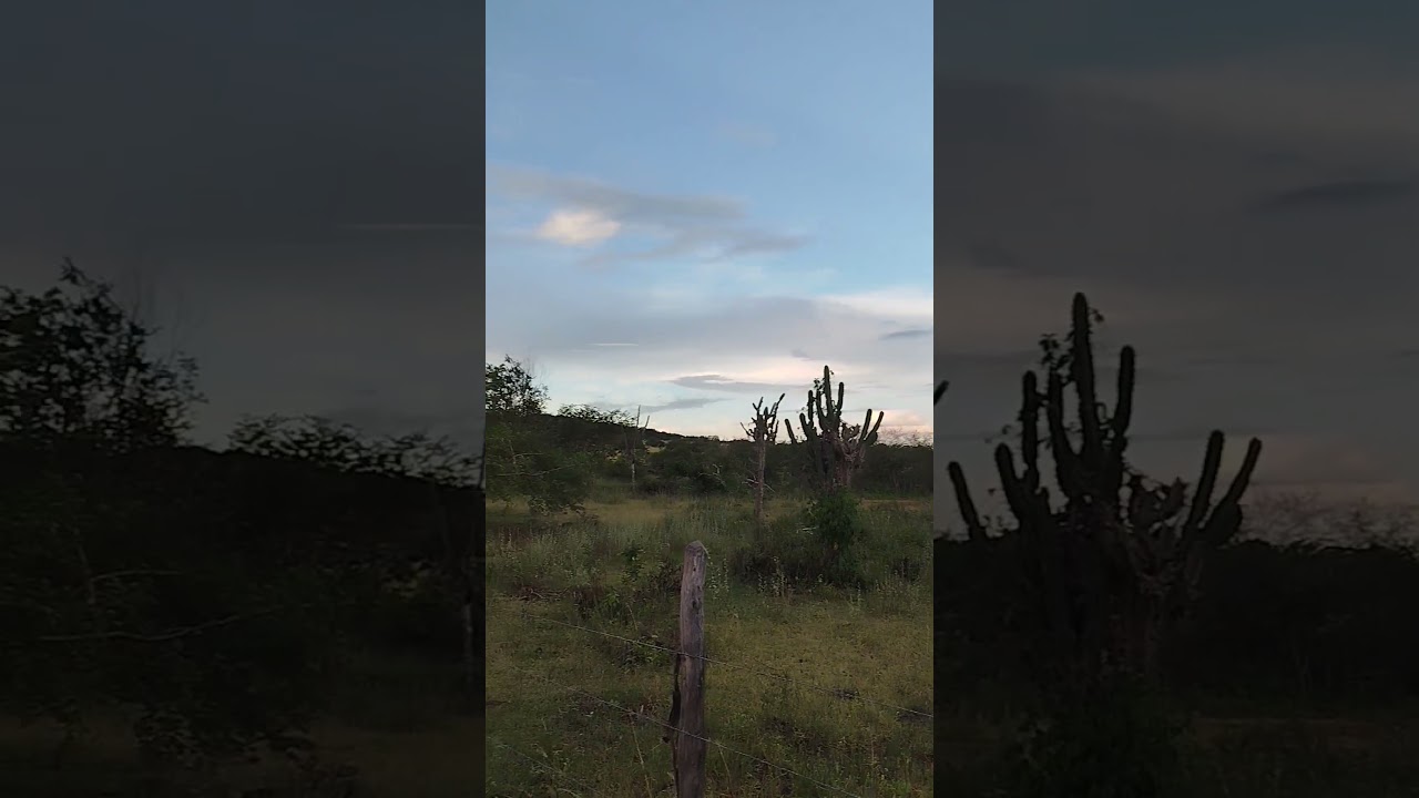 tá chegando a noite #viral #viralvideo #toada