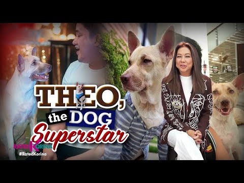 Theo, The Dog Superstar RATED KORINA