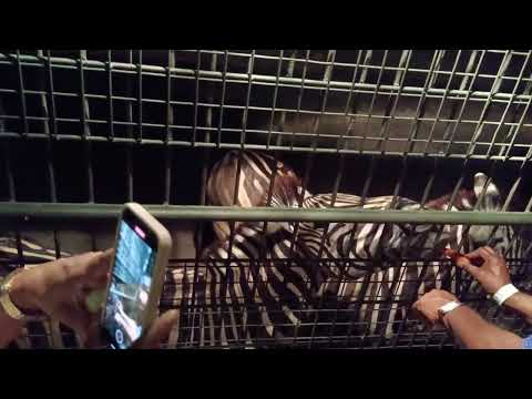 Bali Night Safari Video 1611 22