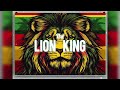 Dancehall RAGGAMUFFIN Instrumental Types Busy Signal Spice X Vybz Kartel Officiel 2025