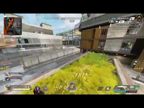 Dawgis this a dream?/