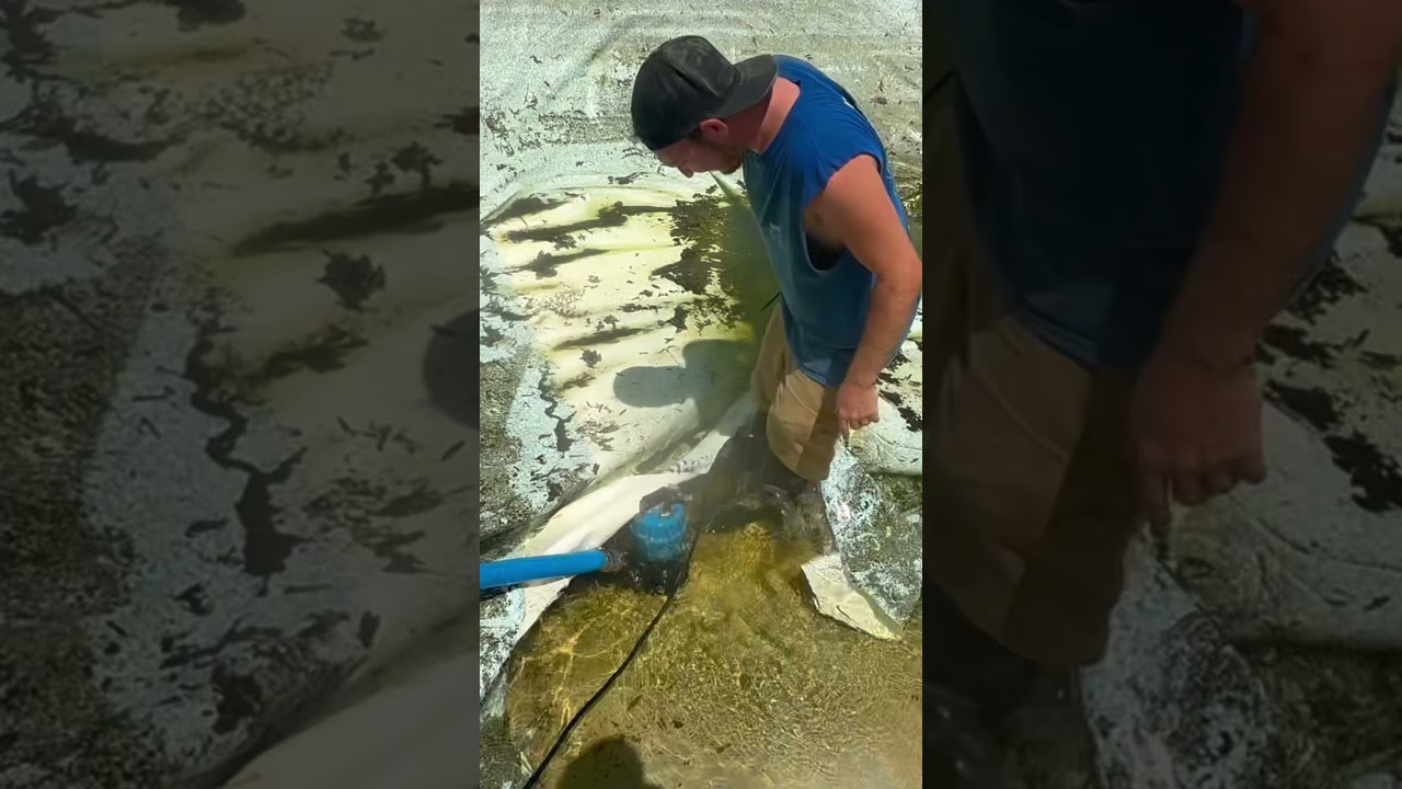 Always fun dealing with GROUNDWATER on pool liner installations #groundwater #pool #linerreplacement