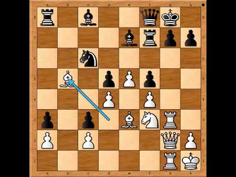 Nevidjeni pritisak Topništvom na rokadni polozaj Kralja💥💥🤣👑   WEI YI vs POTKIN # 2540