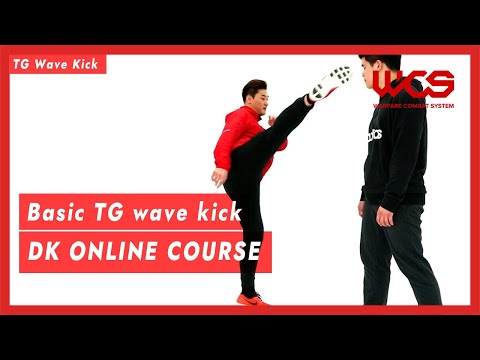 Basic TG wave kick - DK Online Course | DK Yoo