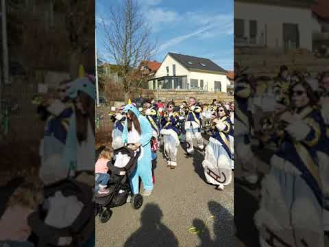 HCV Faschingumzug Gochsen 2020 Gugge 1