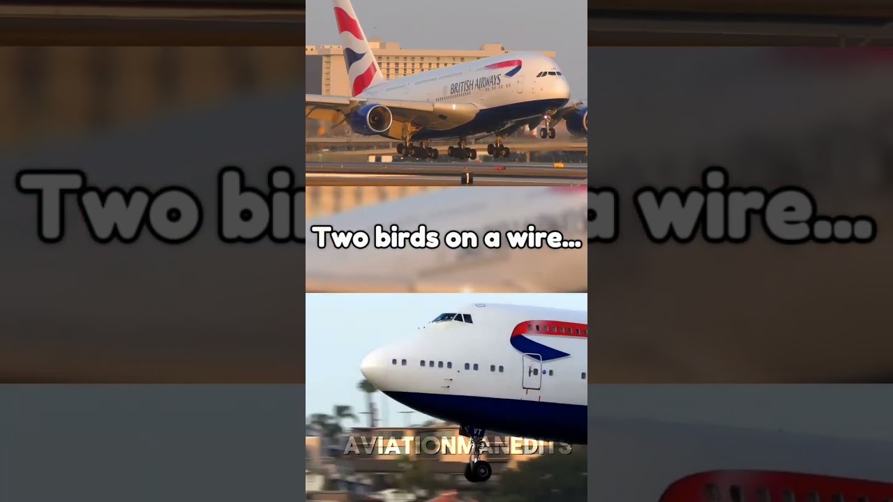 Two birds on a wire...💔 #747 #a380 #ba #britishairways #rip #twobirdsonawire