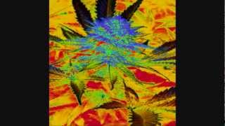 Baby Done Got Some Soul ♬ APRIL WINE