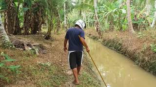 preview picture of video 'Mancari umpan untuk mancing udang galah'