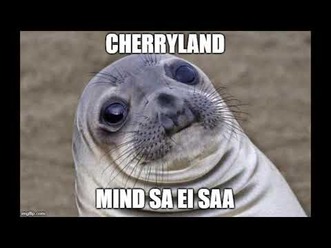 Cherryland - Mind sa ei saa