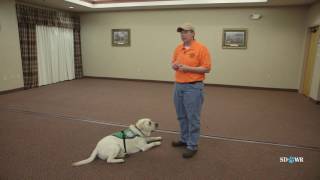 SDWR Training Stay and Wait