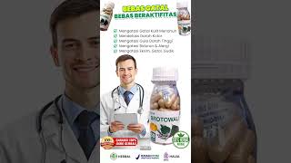 Download lagu Brotowali Herbal Capsules mp3 Download lagu Brotowali Herbal Capsules mp3