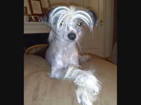 Nils Noa feat  Vinni)   Fade Away (KevinNordstad remix)