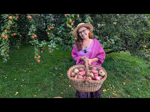 What to do with windfall? 6 amazing apple recipes from Elisabeet! 🍏