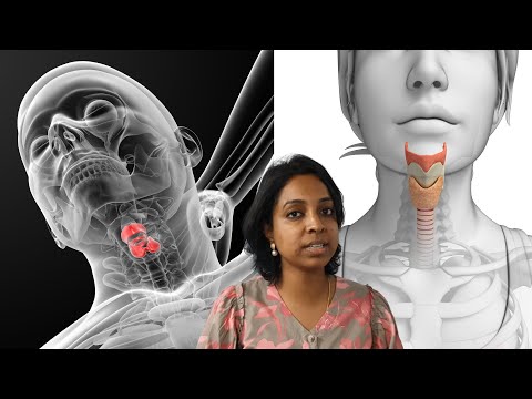 WIM Dr. Raghavi gives advice to chess streamers