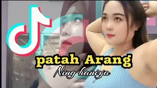 Download lagu Patah arang - Ning haniya - tiktok - Leo waldy mp3 Download lagu Patah arang - Ning haniya - tiktok - Leo waldy mp3