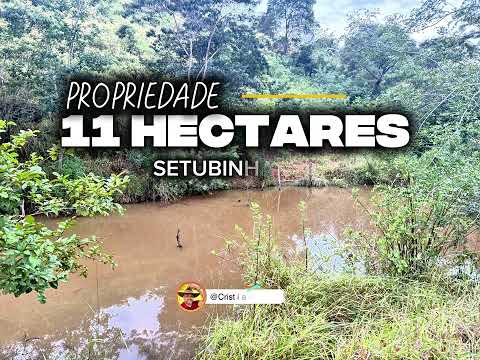 EXCELENTE OPORTUNIDADE 11 HECTARES SETUBINHA-MG R$ 190 MIL #luxo #gado #pecuarista #fazenda #agro 