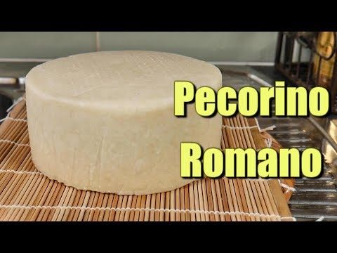 download lagu mp3 mp4 Pecorino Romano Lactose, download lagu Pecorino Romano Lactose gratis, unduh video klip Pecorino Romano Lactose