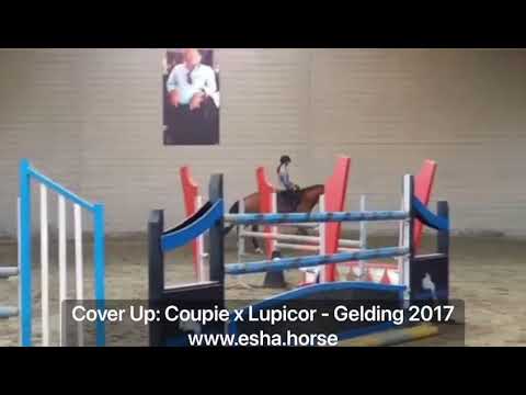 Cover Up: COUPIE x LUPICOR