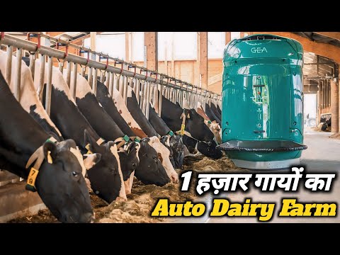 सबसे बड़ा High Tech डेयरी फार्म || Fully Automated Modern Dairy Farm || modern dairy farm in india