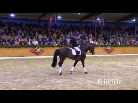 Feinrich by Fürst Heinrich/Sir Donnerhall I