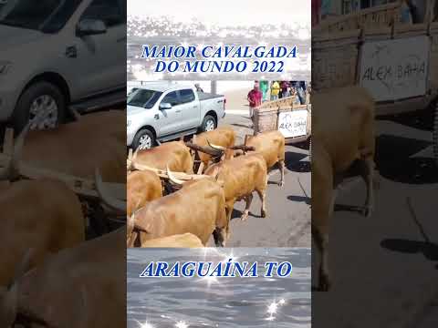 Maior cavalgada do mundo 2022 Araguaína Tocantins