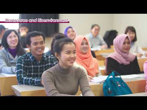 International Undergraduate Programs in Science and Technology