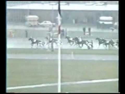 Åby Stora Pris 1981 -Ideal du Gazeau